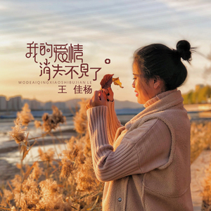 欧美gary片在线播放
